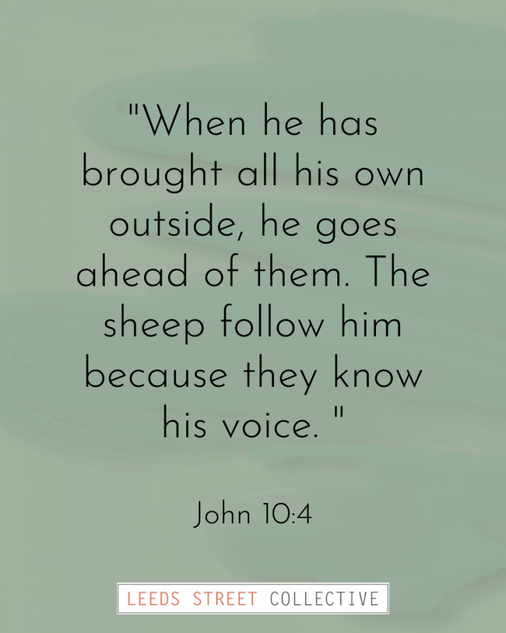 a pretty green textured background with the verse John 10:4 overlaid in black text talking about how His sheep know His voice